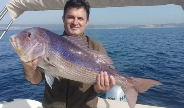 Saros'da yakalanan balık şaşkınlık yarattı