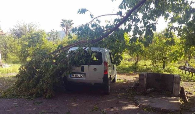 45 dakika yağdı, ağaçlar devrildi, çatı uçtu