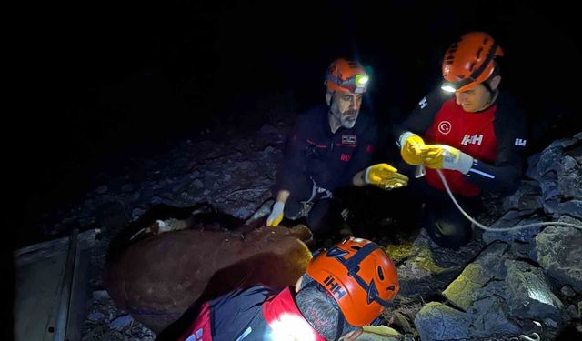 Alanya’da kamyondan düşen dana 400 metrelik uçurumdan kurtarıldı