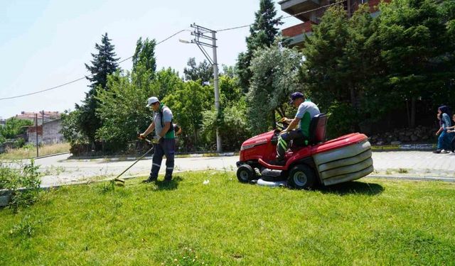 Altıeylül’de parklara bahar bakımı