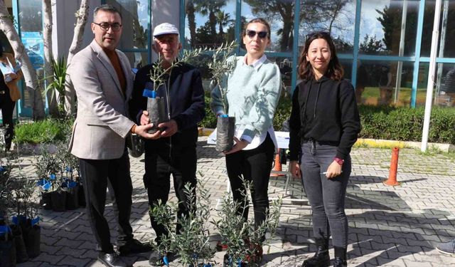 Antalya Büyükşehir Belediyesi’nden Serikli çiftçilere 700 zeytin fidanı