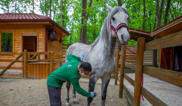 Avrupa’nın en büyük doğal yaşam parkı bayramda doğaseverler için hazırlandı