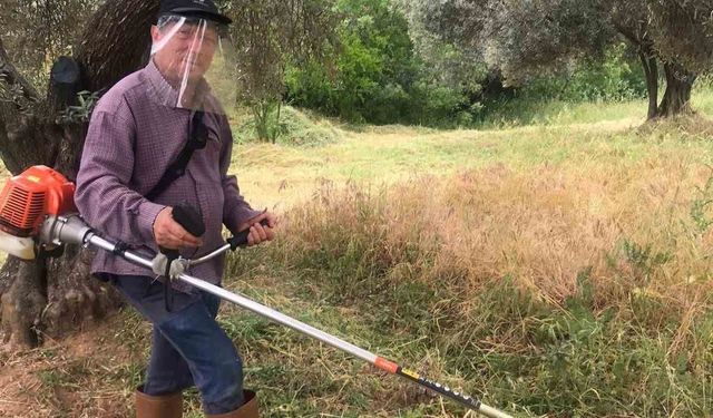 Aydın’da kuru otlar temizleniyor