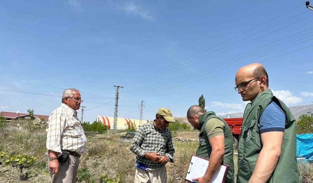 “Bağ Küllemesi Hastalıkları” yüzde 90 verim kaybına yol açabilir