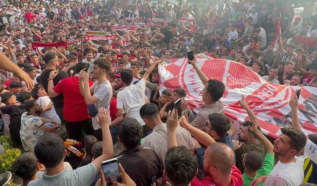 Batman Petrolspor bir yıl aradan sonra TFF 2. Lig’e yükseldi