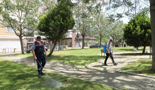 Bayraklı park ve bahçelerinde ilaçlama yapıldı