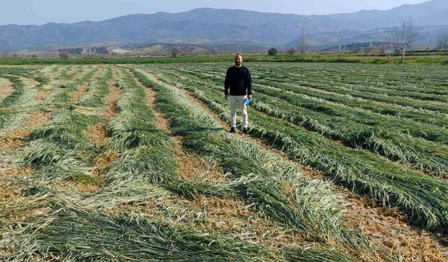 Bozdoğan’da ilçe tarım kaba yemin önemine dikkat çekti