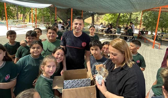 Çatıda mahsur kalan yavru kediler kurtarıldı