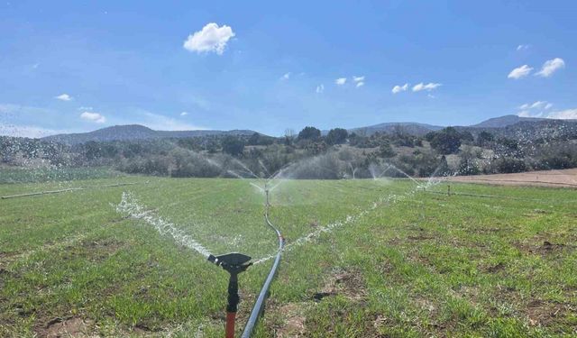 Çiftçiler yağmur yağmadığı için tarlalarını sulamaya başladı