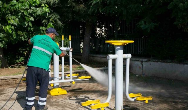 Efeler Belediyesi parkların bakımı için harekete geçti