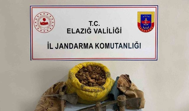 Elazığ’da 30 kilogram salep bitkisi ele geçirildi