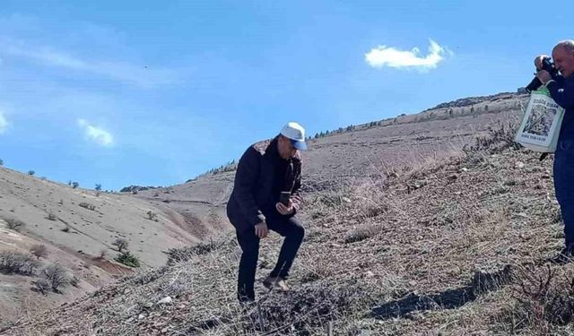 Elazığ’da ’Baskil ters lalesi’  izleme çalışması yapıldı