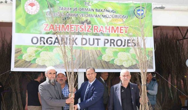 Elazığ’da üreticilere bin 400 adet dut fidanı dağıtıldı