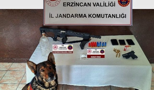 Erzincan’da jandarmanın 1 aylık faaliyeti açıklandı