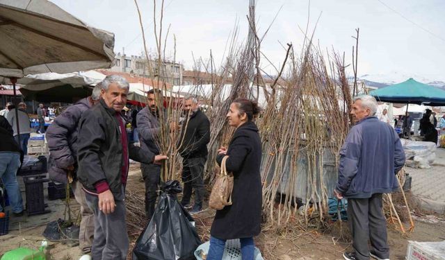 Erzincan’da meyve fidanı satışı başladı