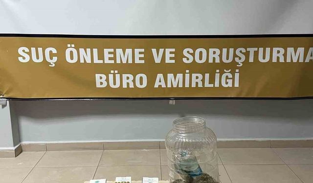 Evinde Hint keneviri yetiştirdiği tespit edilen şahıs gözaltına alındı