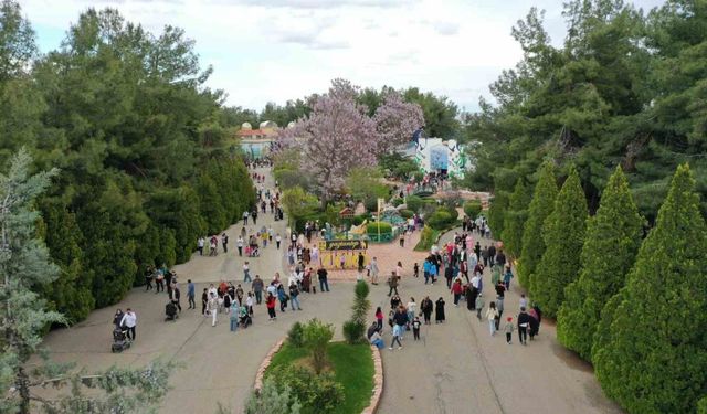 Gaziantep Doğal Yaşam Parkı’na bayramda ziyaretçi akını