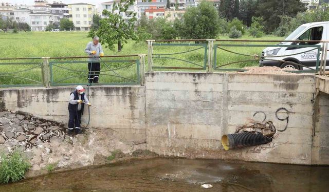 Gaziantep’te haşerelere karşı 165 bin noktada ilaçlama yapılıyor