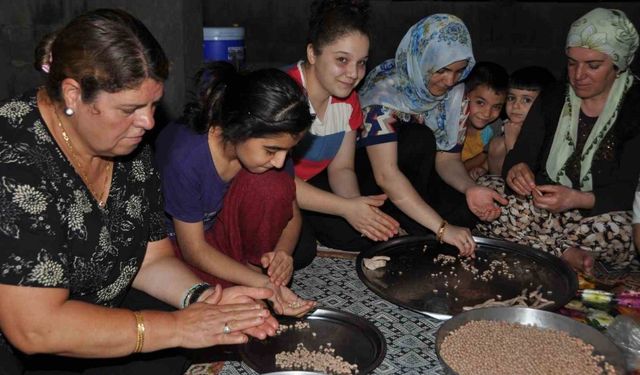 Gaziantep’te yuvalama zamanı