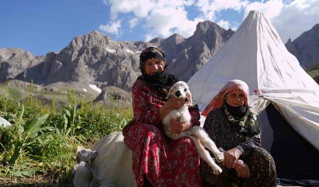 Havalar ısındı, meralar şenlendi