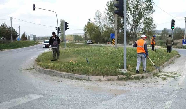 Hisarcık’ta yabani ot biçme çalışması