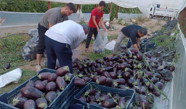 İsraf olacak ürünleri bağışladılar