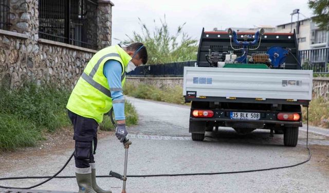 İzmir’de sivrisinek ve haşere ile mücadele 12 ay sürüyor