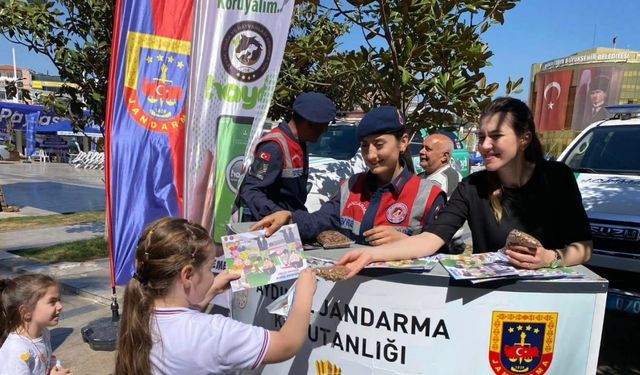 Jandarma sokak hayvanlarını unutmadı