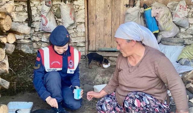 Jandarma’dan sokak hayvanları için ‘Bir gün değil, her gün’ mesajı