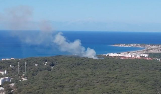 Jandarmanın dron kontrolü orman yangınının büyümesini önledi