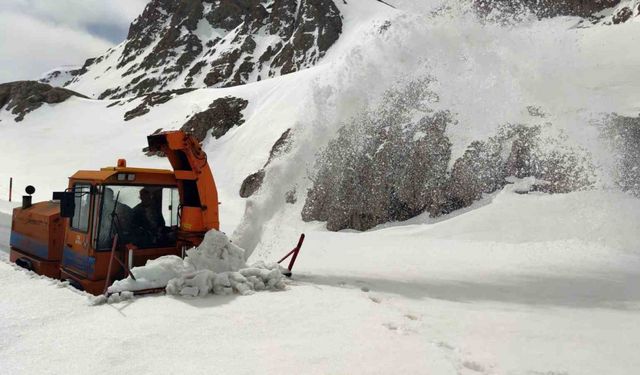 Kar kaplanları Nisan ayında da görevinin başında