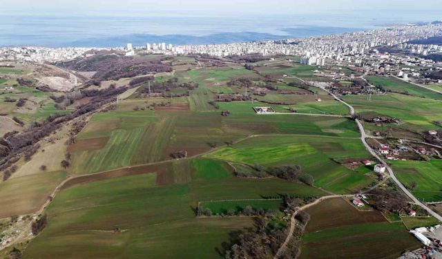 Kentsel Dönüşüm Başkanlığı Samsun’da 314 arsayı satışa çıkarıyor