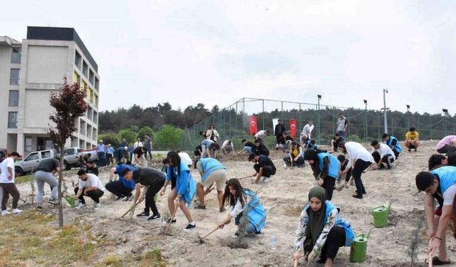 Kız öğrenci yurdunun çevresine yeni fidanlar dikildi