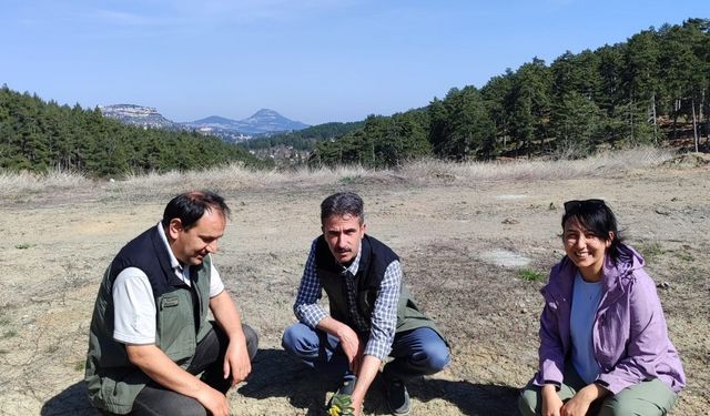 Kömür Ocağı Bal Ormanı, ’örnek bal ormanı’ haline geldi