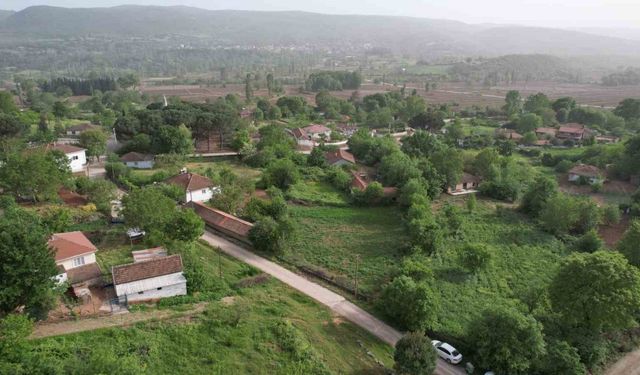 Korhan Berzeg’i arama çalışmalarına ara verildi