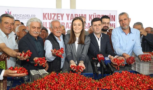 Kuzey yarımkürenin ilk kirazının hasat edildiği Manisa’da üretici umutlu