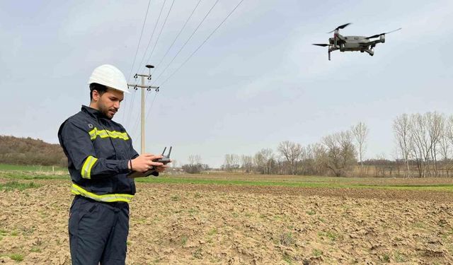 Leylek yuvalarına dronlu takip