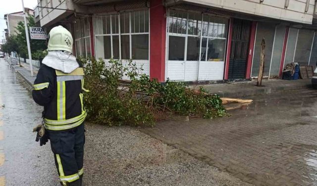 Manisa Büyükşehir ekiplerinden fırtına ve yağış mesaisi