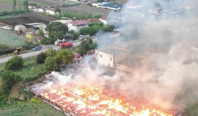 Manisa’da 160 ton kozalak kül oldu