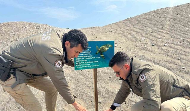 Mersin polisi caretta carettaların üreme alanlarına uyarı levhaları astı