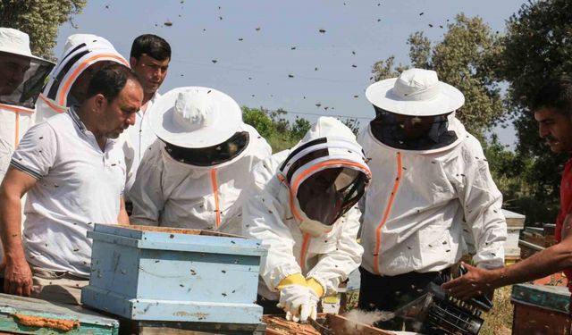 Mersin’de ’Narenciye Balı Hasat Şenliği’ düzenlendi