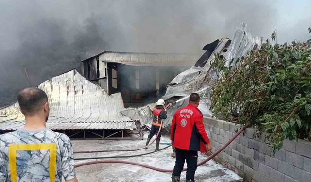 Mersin’de narenciye paketleme tesisinde yangın