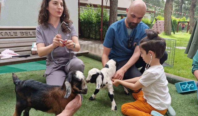 Miniklere hayvan sevgisi uygulamalı olarak aşılanıyor