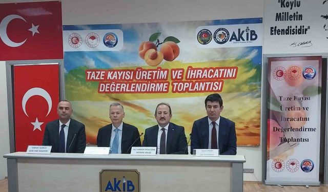 Mut’ta "Taze Kayısı Üretim ve İhracatını Değerlendirme Toplantısı" yapıldı