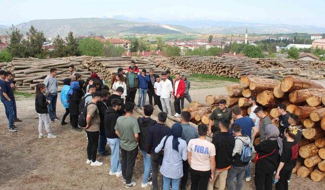 Öğrencilere Vezirköprü ormanlarında eğitim