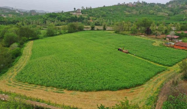 Ordu’da Büyükşehrin tarım makineleri çalışıyor