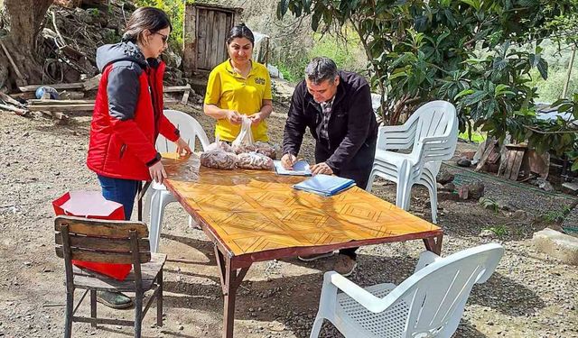 Ortaca’da ürün kontrolleri devam ediyor