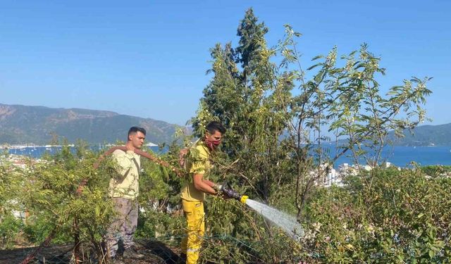 Otluk alandaki yangın ormana sıçramadan söndürüldü