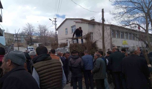 Özalp’ta çiftçilere meyve fidanı dağıtımı