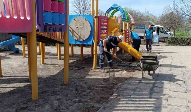 Parklara yaz bakımı